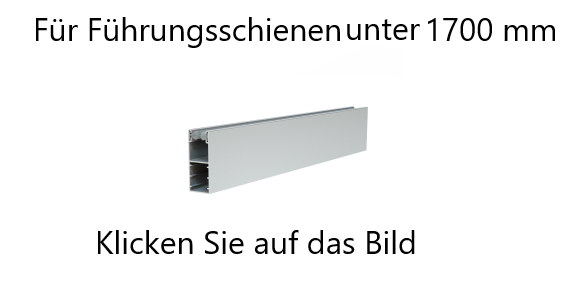 Führungsschienen unter 1700 mm